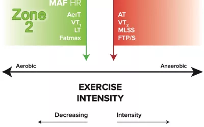 Unlock Your Performance Potential with Zone 2 Training: A Comprehensive Guide