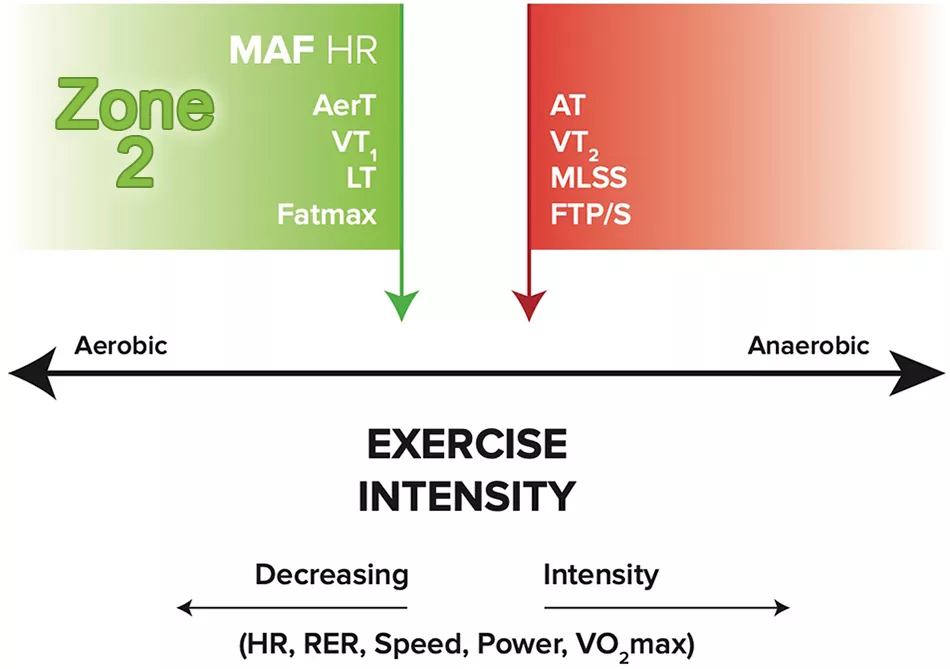 Training zones for cycling: heart rate & power zones explained